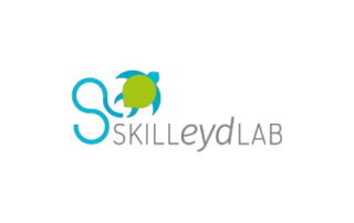 Skilleyd | Cliente | D2C srl Web Agency Milano | Al tuo cliente, direttamente